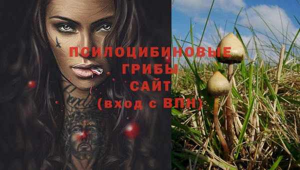 гашишное масло Алексеевка