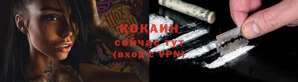 сатива Рославль