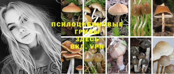 кокаин премиум Ростов