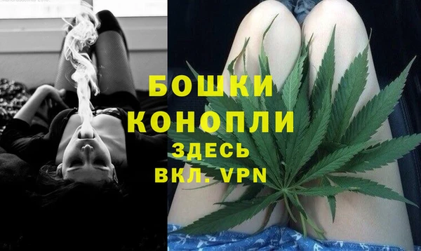 ешки Алзамай