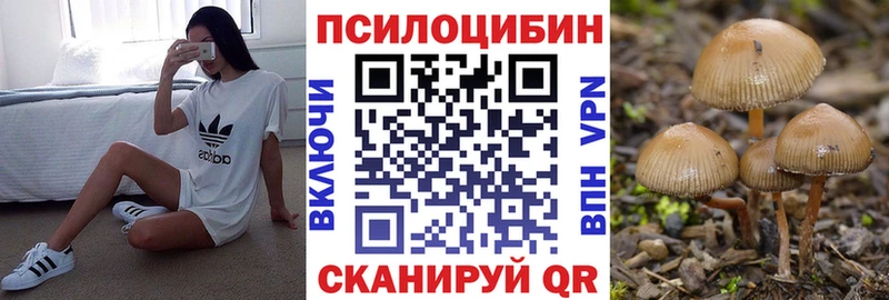 цена наркотик  Павлово  Псилоцибиновые грибы Psilocybe 