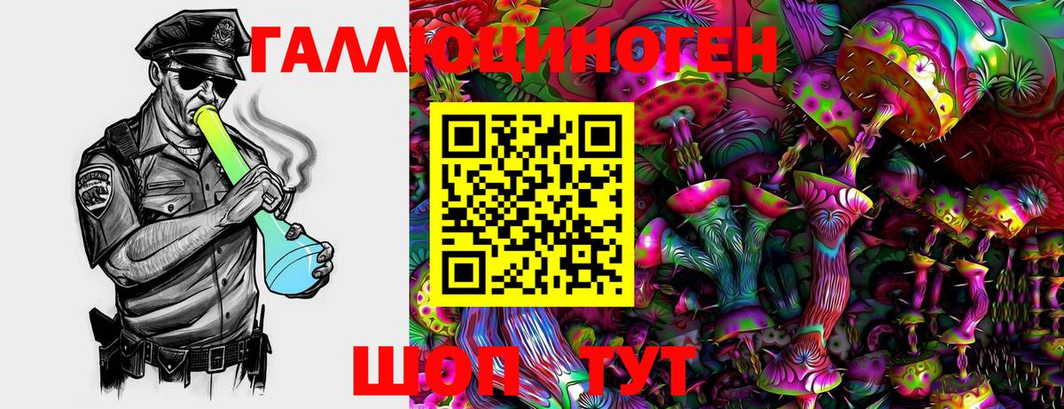 Галлюциногенные грибы GOLDEN TEACHER  как найти   Павлово  Вход с VPN 