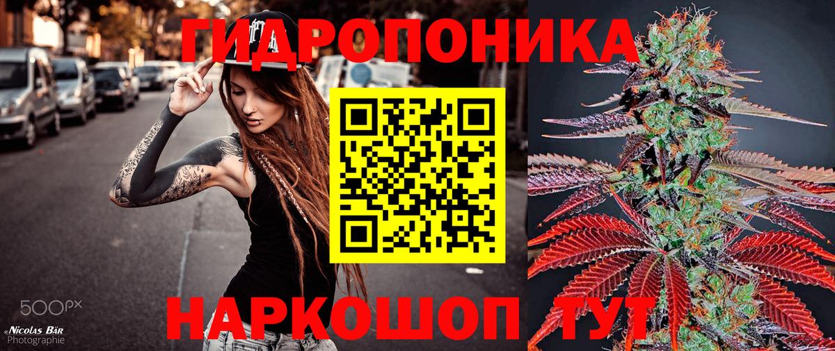 Каннабис план Павлово